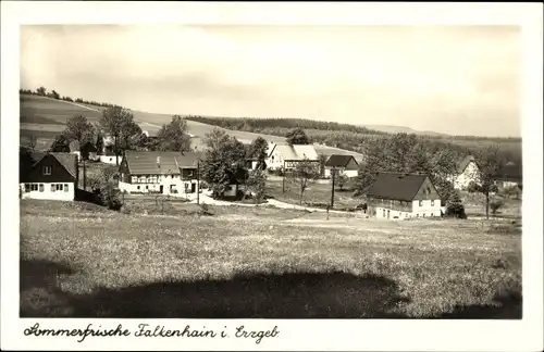 Ak Falkenhain Altenberg im Erzgebirge, Ortsansicht