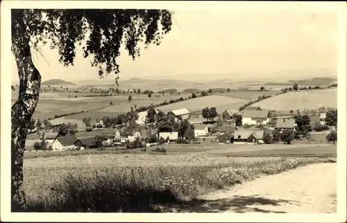 Ak Falkenhain Altenberg im Osterzgebirge, Panorama