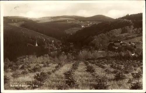 Ak Kipsdorf Altenberg im Erzgebirge, Panorama