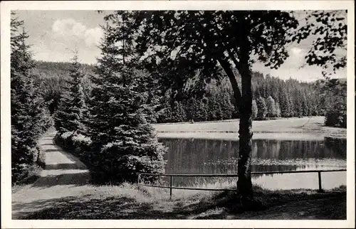 Ak Erlbach im Vogtland, Hinterer Floßteich im Landesgemeindetal