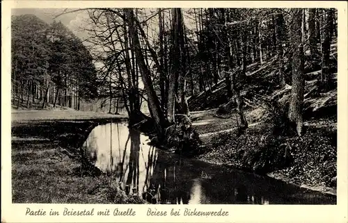 Ak Briese Birkenwerder im Kreis Oberhavel, Briesetal mit Quelle
