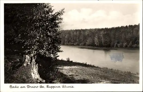 Ak Neuruppin in Brandenburg, Tornow-See, Ruppiner Schweiz