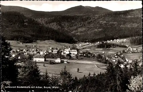 Ak Bodenmais in Niederbayern, Ortspanorama, Arber