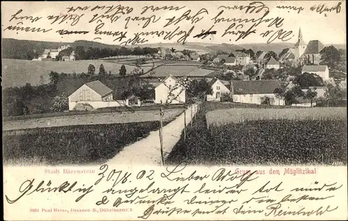 Ak Bärenstein Altenberg Erzgebirge, Ortsansicht, Müglitzthal
