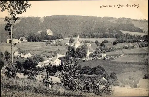 Ak Bärenstein Altenberg Erzgebirge, Ortsansicht