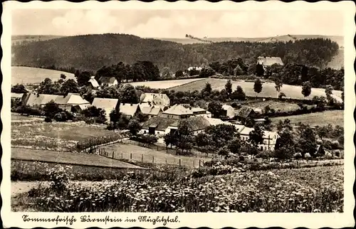 Ak Bärenstein Altenberg Erzgebirge, Ortsansicht