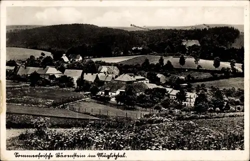 Ak Bärenstein Altenberg Erzgebirge, Müglitztal, Ortspanorama