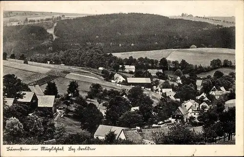 Ak Bärenstein Altenberg Erzgebirge, Müglitztal, Ortspanorama