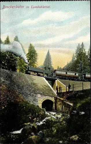 Ak Tumkuhlental, Brockenbahn, Eisenbahnviadukt, Tumkuhlental