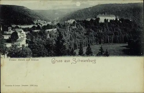 Mondschein Ak Schwarzburg in Thüringen, Weißer Hirsch, Schloss