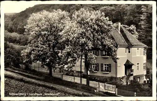 Ak Schwarzburg in Thüringen, Landhaus Waldesruh