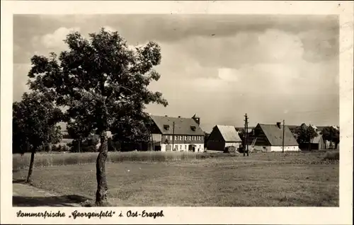 Ak Zinnwald Georgenfeld Altenberg im Erzgebirge, Teilansicht