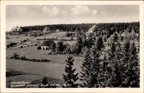 Ak Zinnwald Georgenfeld Altenberg im Erzgebirge, Panorama