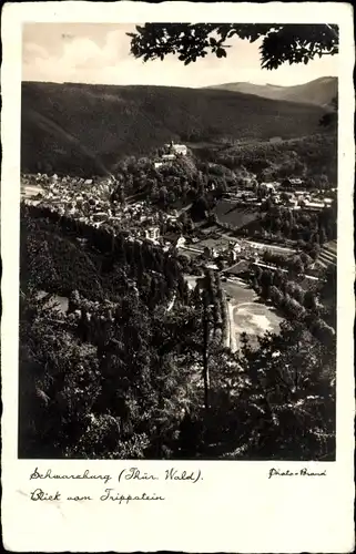 Ak Schwarzburg in Thüringen, Ortsansicht, Blick vom Trippstein