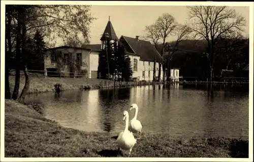 Ak Schnörrenbach Kierspe Sauerland, Fremdenheim, Blick vom Wasser aus, Schwäne