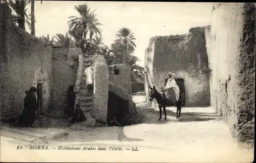 Ak Biskra Algerien, Arabische Behausungen in Oasen