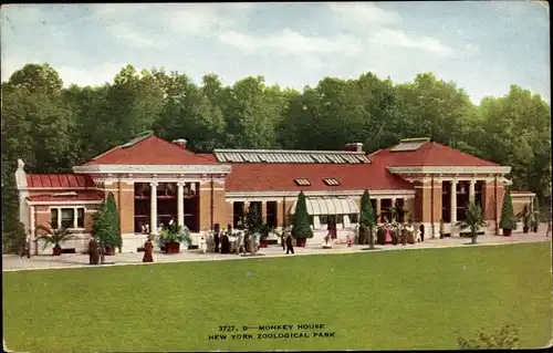 Ak New York City USA, Zoologischer Park, Affenhaus
