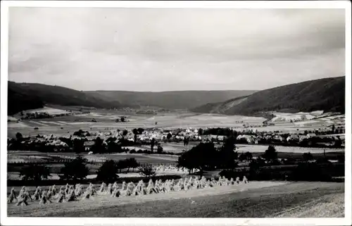 Foto Ak Oedelsheim Oberweser Hessen, Panorama