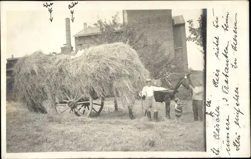 Foto Ak Bauern, Heu-Transport, Landwirtschaft, Fuhrwerk, Pferd, Ernde