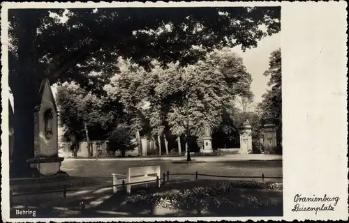 Ak Oranienburg im Kreis Oberhavel, Luisenplatz