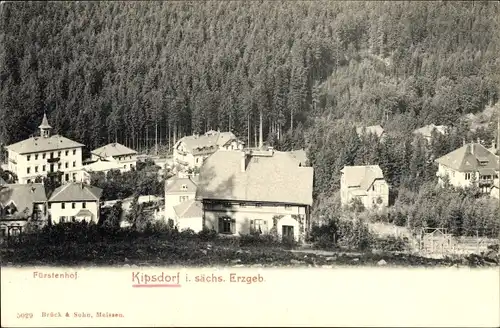 Ak Kipsdorf Altenberg im Erzgebirge, Teilansicht, Hotel Fürstenhof