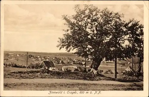 Ak Zinnwald Georgenfeld Altenberg im Erzgebirge, Ortsansicht