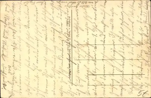 Ak Zinnwald Georgenfeld Altenberg im Erzgebirge, Ortsansicht