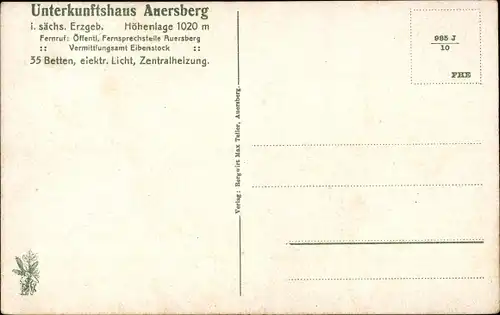 Ak Wildenthal Eibenstock im Erzgebirge, Panorama vom Auersberg, Unterkunftshaus, Riesenberg