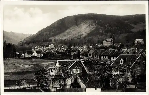 Ak Ilsenburg im Harz, Teilansicht, Buchberg