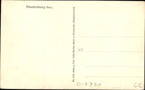 Ak Blankenburg am Harz, Teilansicht