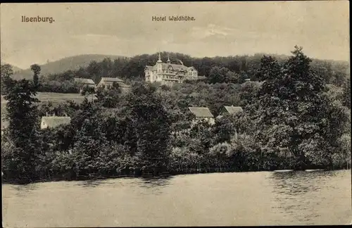 Ak Ilsenburg im Harz, Hotel Waldhöhe