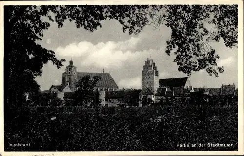 Ak Ingolstadt an der Donau Oberbayern, Stadtmauer
