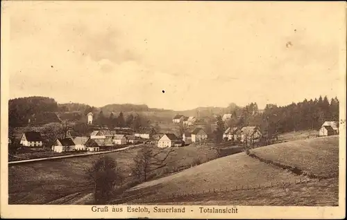 Ak Eseloh Meinerzhagen im Sauerland, Totale