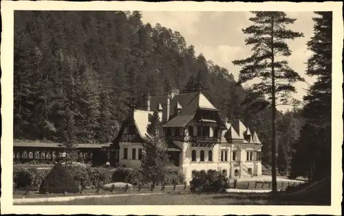 Foto Ak Ursenbach Kanton Bern Schweiz?, Villa, Wald
