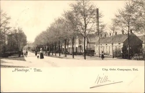 Ak Tiel Gelderland, Plantage