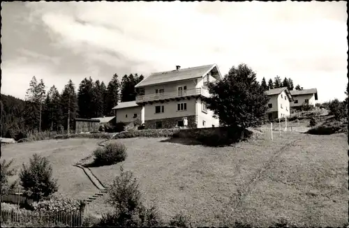 Ak Bodenmais Niederbayern Bayern, Berliner Bär