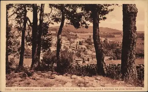 Ak Le Chambon sur Lignon Haute Loire, Malerischer Blick durch die Balsamico-Kiefern