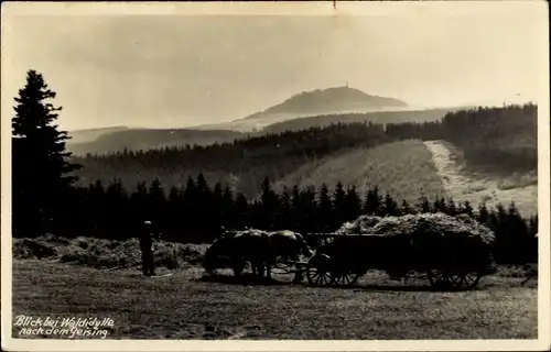 Ak Geising Altenberg im Erzgebirge, Panorama, Heu