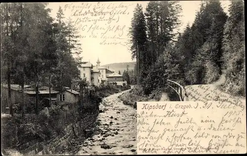 Ak Kipsdorf Altenberg im Erzgebirge, Rote Weißeritz