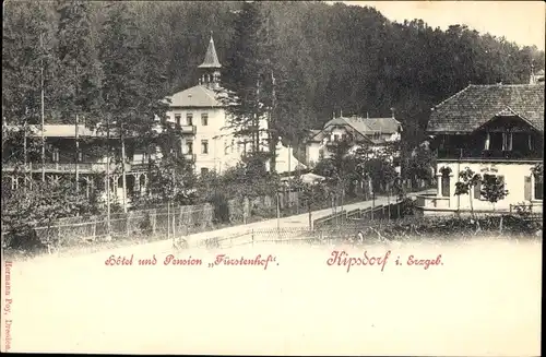 Ak Kipsdorf Altenberg im Erzgebirge, Hotel und Pension Fürstenhof