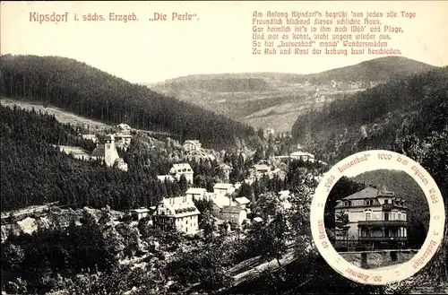 Ak Kipsdorf Altenberg im Erzgebirge, Die Perle, Gesamtansicht, Villa Luisenbad