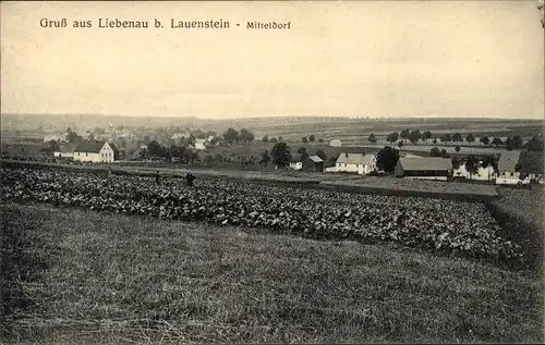 Ak Liebenau Altenberg im Erzgebirge, Mitteldorf, Ortsansicht, Acker