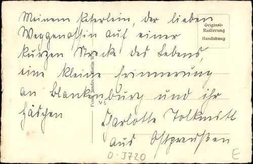 Künstler Ak Blankenburg am Harz, Panorama