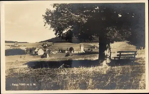 Ak Saig Lenzkirch im Schwarzwald, Panorama