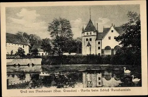 Ak Neuhausen im Erzgebirge, Schloss Purschenstein, Teich