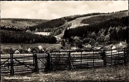 Ak Fohlenplacken Neuhaus im Solling Holzminden Niedersachsen, Panorama