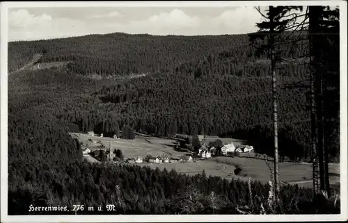 Ak Herrenwies Forbach im Schwarzwald Baden, Panorama