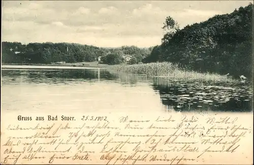 Ak Stuer in Mecklenburg, See, Uferpartie