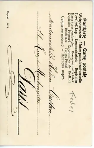 Feder Ak Vogel aus echten Federn, Winterlandschaft