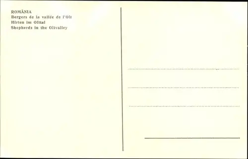 Ak Rumänien, Schäfer im Olttal, Schafherde